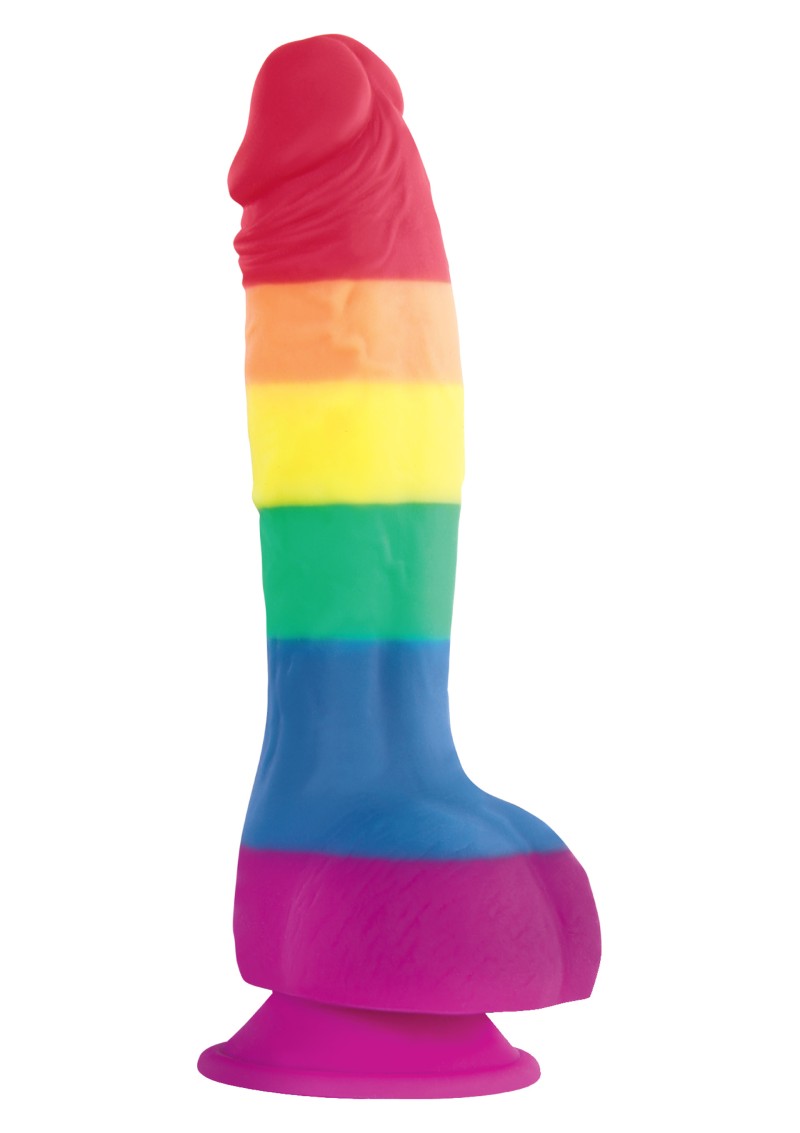 Rainbow Lover Dildo 6''