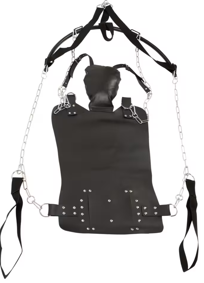 Sex Swing 