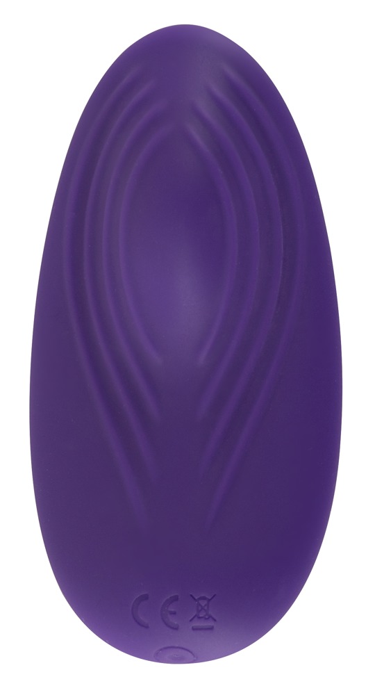 RC Panty Vibrator