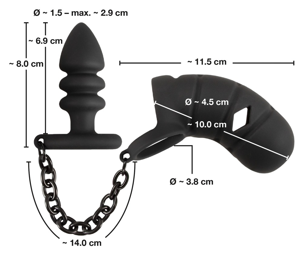 Cock Cage with a butt plug 